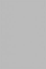 ����� 0881 PE ��������