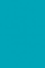 ����� 5515 BS ��������� �����