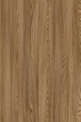 ����� 8195 SP/BS ������ ������ �������