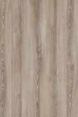 ����� 8503 BS ����� ��������