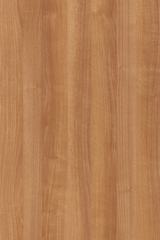 ����� 9461 BS ���� �������