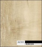 ����� 62101 DSO ���