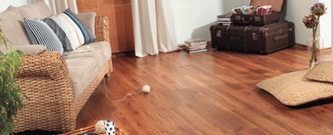 ������� ��������� (�������������� ����)